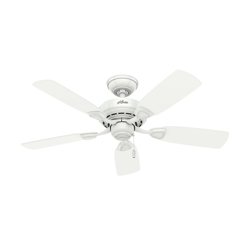 Hunter Fan 44" Auberville 5Blade Ceiling Fan & Reviews Wayfair
